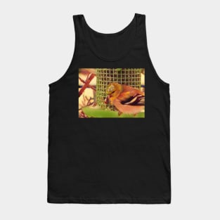 Pretty bird on bird feeder Tank Top